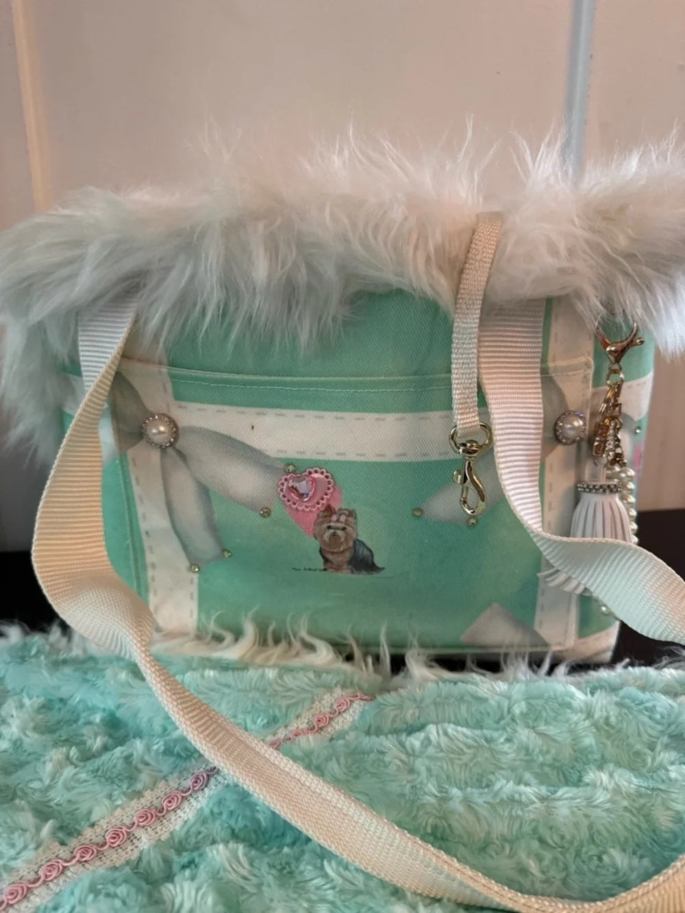 Mint Green Faux Fur Pet Carrier Bag & Matching Blanket